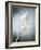 Whisk with Egg-Whites-Steve Lupton-Framed Photographic Print