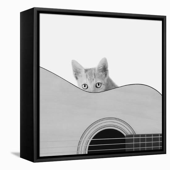 Whiskers and Strings-Jon Bertelli-Framed Premier Image Canvas
