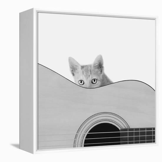 Whiskers and Strings-Jon Bertelli-Framed Premier Image Canvas