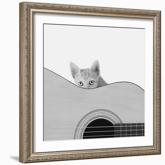 Whiskers and Strings-Jon Bertelli-Framed Photographic Print