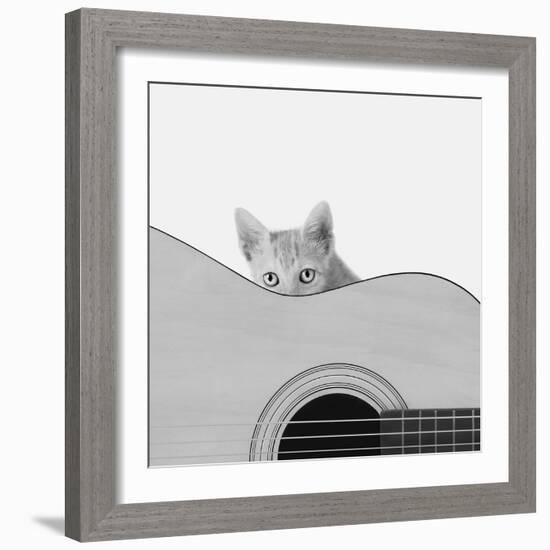 Whiskers and Strings-Jon Bertelli-Framed Photographic Print