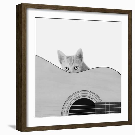 Whiskers and Strings-Jon Bertelli-Framed Photographic Print