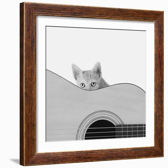 Whiskers and Strings-Jon Bertelli-Framed Photographic Print