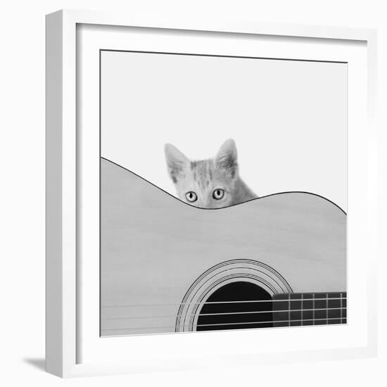 Whiskers and Strings-Jon Bertelli-Framed Photographic Print