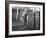 Whisky Blending at Wiley and Co, Sheffield, South Yorkshire, 1960-Michael Walters-Framed Photographic Print