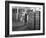 Whisky Blending at Wiley and Co, Sheffield, South Yorkshire, 1960-Michael Walters-Framed Photographic Print