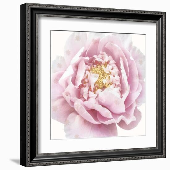 Whisper Floral-Bella Dos Santos-Framed Art Print