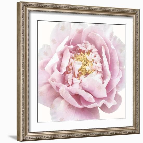 Whisper Floral-Bella Dos Santos-Framed Art Print