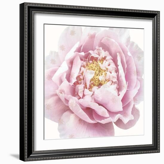 Whisper Floral-Bella Dos Santos-Framed Art Print