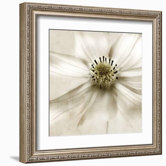 Whisper of Cosmos-Donna Geissler-Framed Art Print