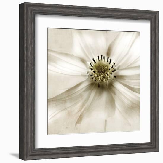 Whisper of Cosmos-Donna Geissler-Framed Art Print