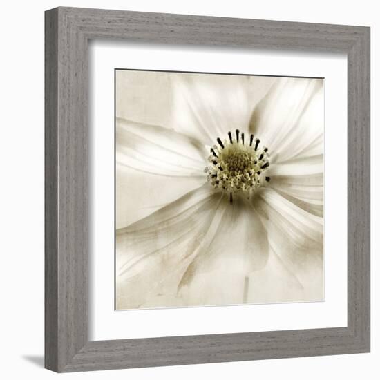 Whisper of Cosmos-Donna Geissler-Framed Art Print