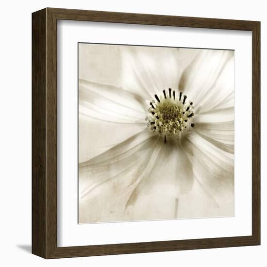 Whisper of Cosmos-Donna Geissler-Framed Art Print