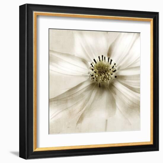 Whisper of Cosmos-Donna Geissler-Framed Art Print