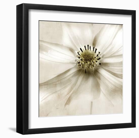 Whisper of Cosmos-Donna Geissler-Framed Giclee Print