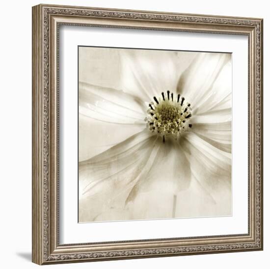 Whisper of Cosmos-Donna Geissler-Framed Giclee Print