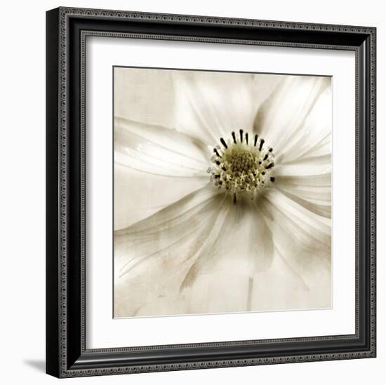 Whisper of Cosmos-Donna Geissler-Framed Giclee Print