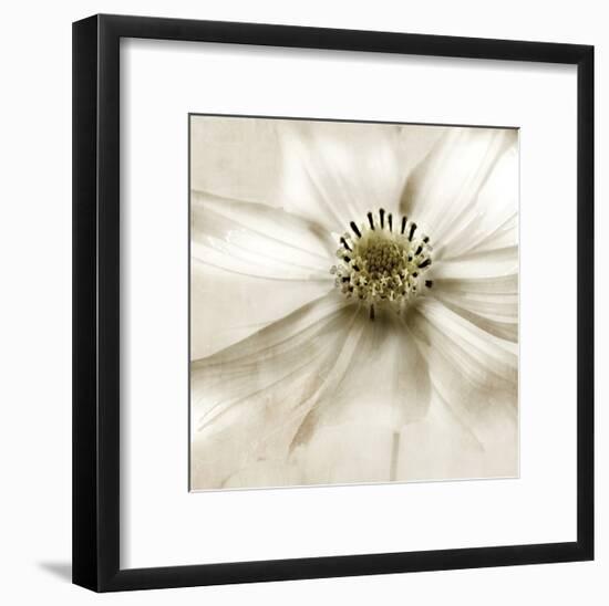 Whisper of Cosmos-Donna Geissler-Framed Giclee Print