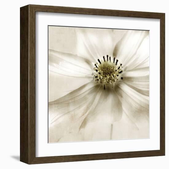 Whisper of Cosmos-Donna Geissler-Framed Giclee Print