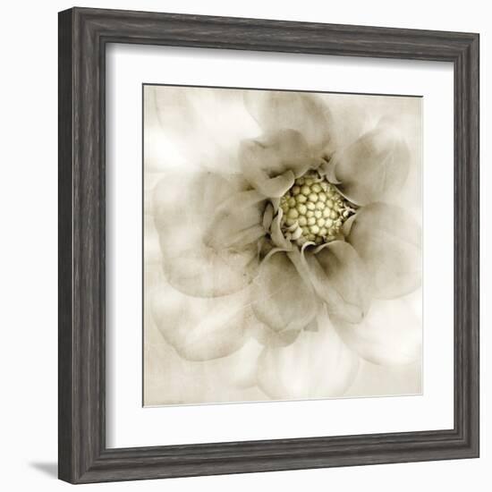 Whisper of Dahlia-Donna Geissler-Framed Art Print