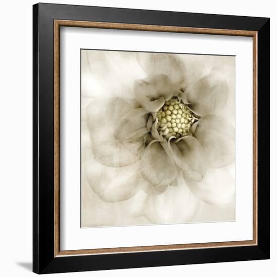 Whisper of Dahlia-Donna Geissler-Framed Art Print