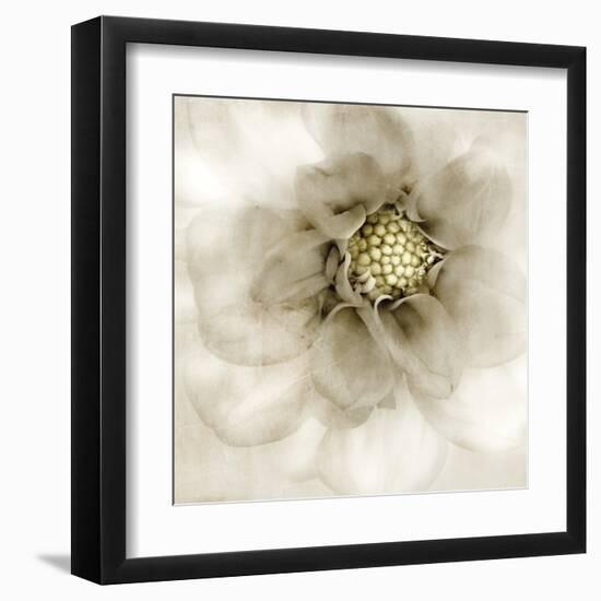 Whisper of Dahlia-Donna Geissler-Framed Art Print