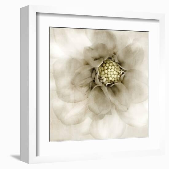 Whisper of Dahlia-Donna Geissler-Framed Art Print