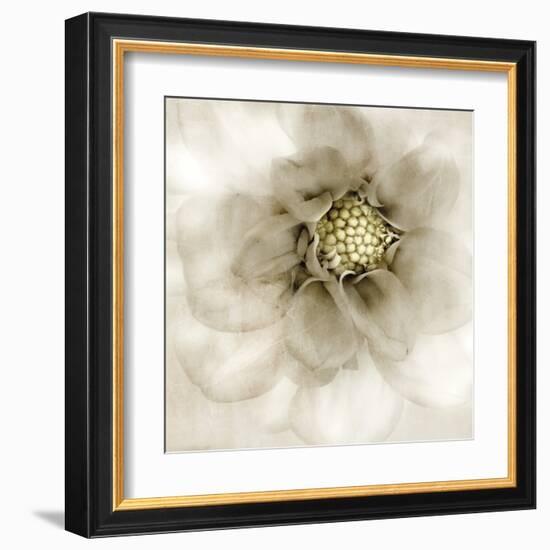 Whisper of Dahlia-Donna Geissler-Framed Art Print