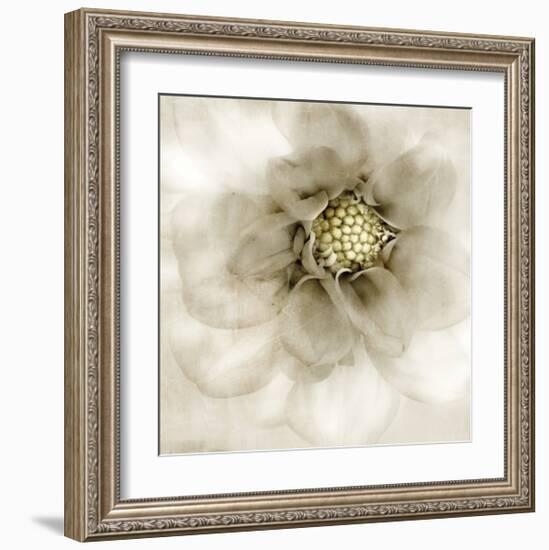 Whisper of Dahlia-Donna Geissler-Framed Giclee Print