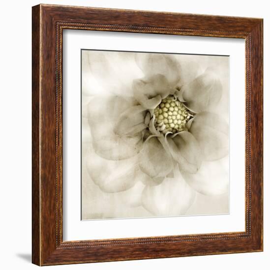 Whisper of Dahlia-Donna Geissler-Framed Giclee Print