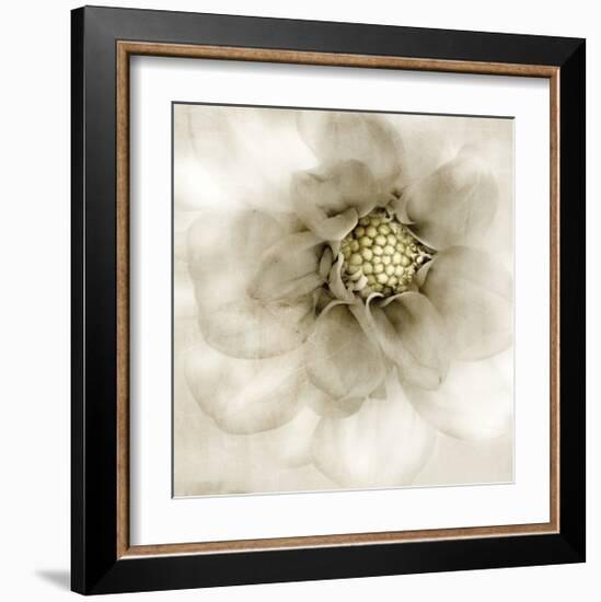 Whisper of Dahlia-Donna Geissler-Framed Giclee Print