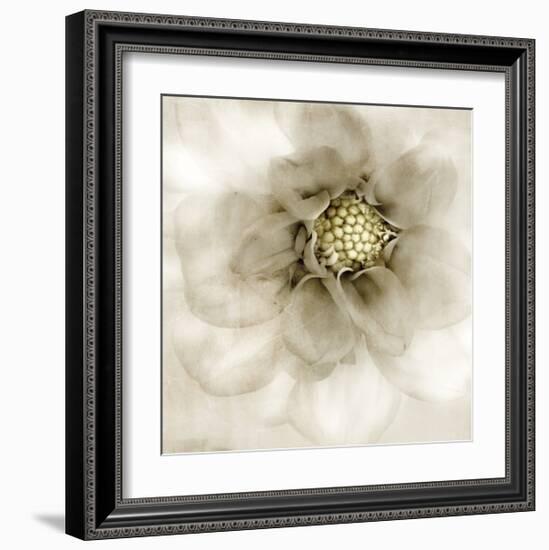 Whisper of Dahlia-Donna Geissler-Framed Giclee Print