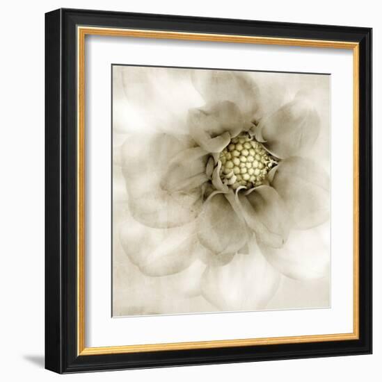 Whisper of Dahlia-Donna Geissler-Framed Giclee Print