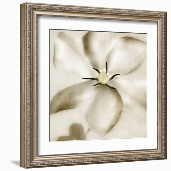 Whisper of Gardenia-Donna Geissler-Framed Giclee Print