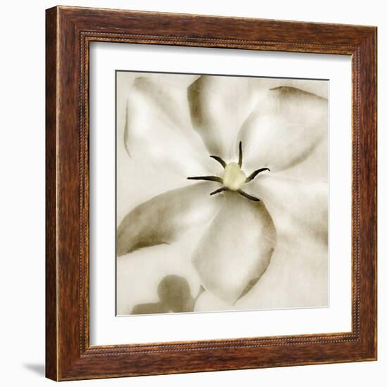 Whisper of Gardenia-Donna Geissler-Framed Giclee Print