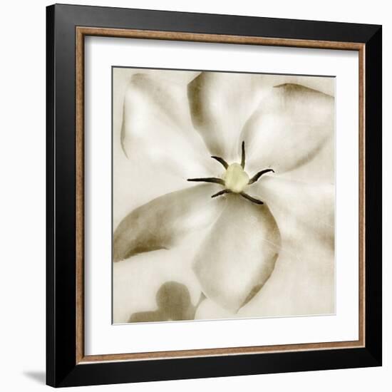 Whisper of Gardenia-Donna Geissler-Framed Giclee Print