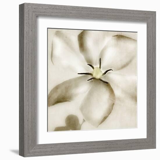 Whisper of Gardenia-Donna Geissler-Framed Giclee Print