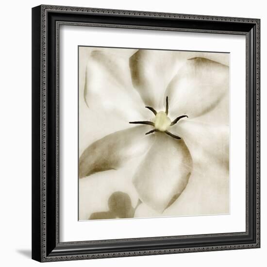 Whisper of Gardenia-Donna Geissler-Framed Giclee Print