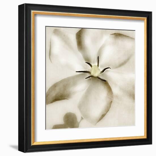 Whisper of Gardenia-Donna Geissler-Framed Giclee Print