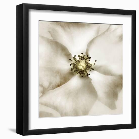 Whisper of Rose-Donna Geissler-Framed Giclee Print