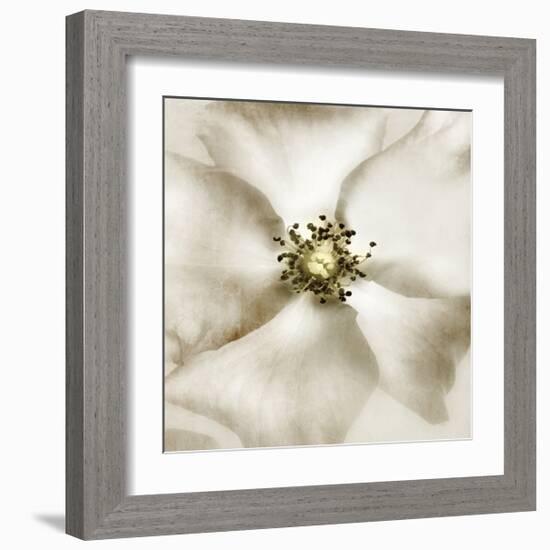 Whisper of Rose-Donna Geissler-Framed Giclee Print