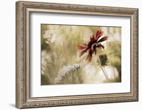 Whisper on the Wind-David Winston-Framed Giclee Print