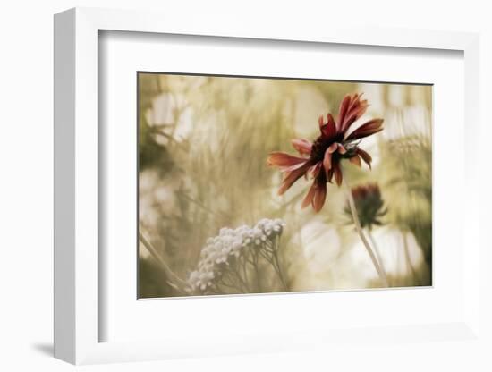 Whisper on the Wind-David Winston-Framed Giclee Print