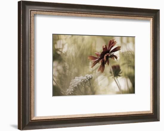 Whisper on the Wind-David Lorenz Winston-Framed Art Print