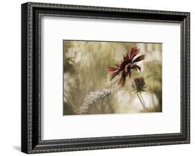 Whisper on the Wind-David Lorenz Winston-Framed Art Print