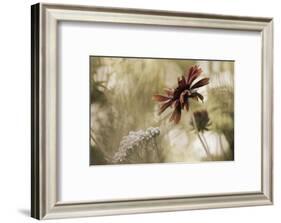 Whisper on the Wind-David Lorenz Winston-Framed Art Print