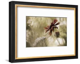 Whisper on the Wind-David Lorenz Winston-Framed Art Print