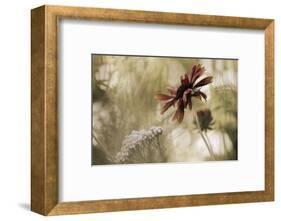 Whisper on the Wind-David Lorenz Winston-Framed Art Print