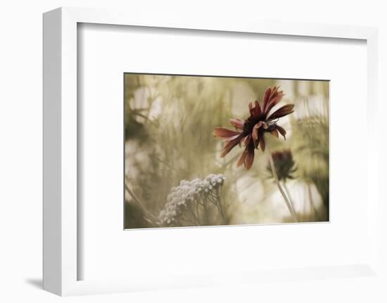 Whisper on the Wind-David Lorenz Winston-Framed Art Print