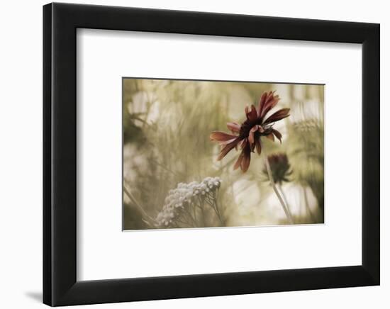 Whisper on the Wind-David Lorenz Winston-Framed Art Print